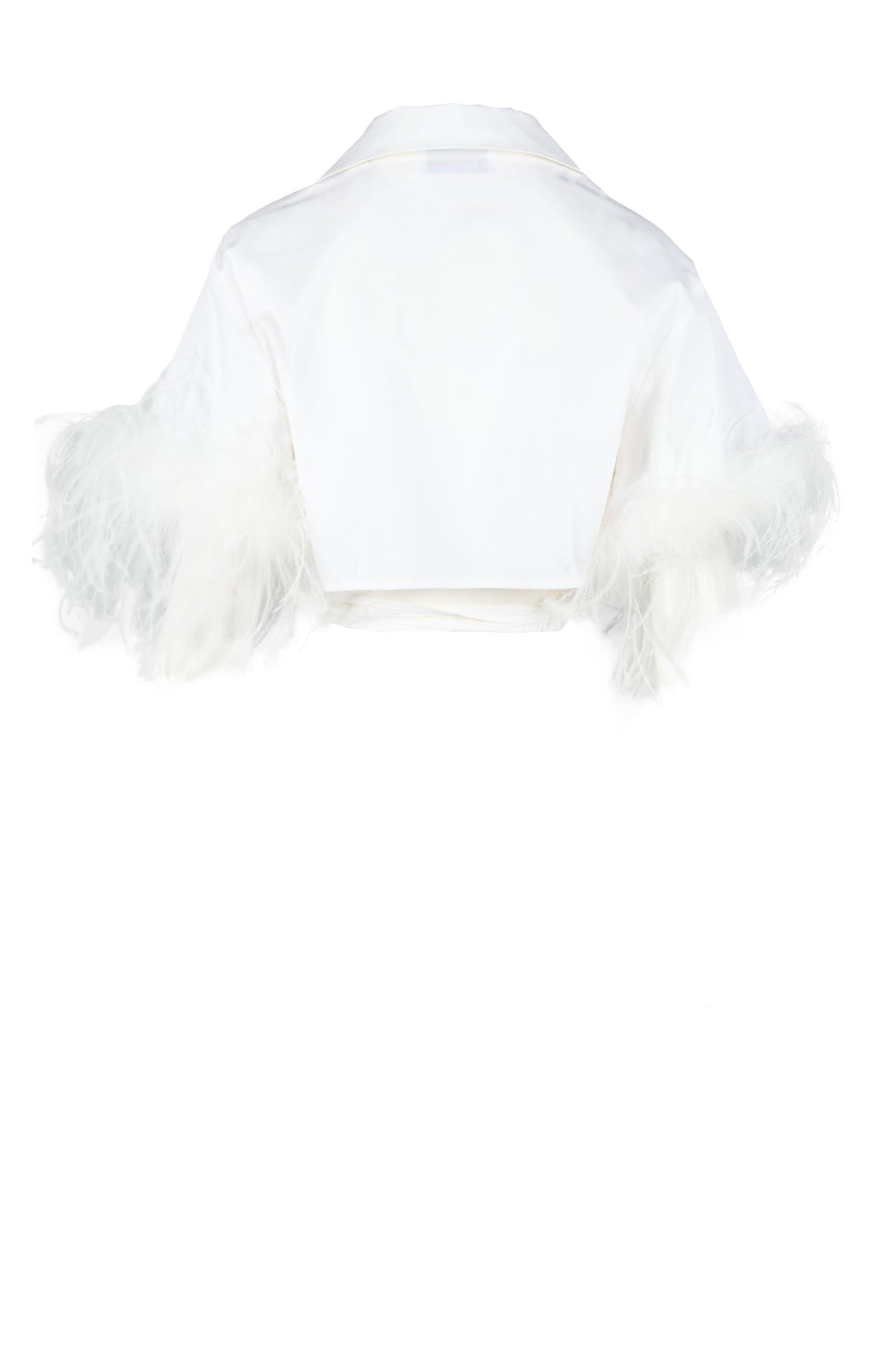 GIUSEPPE DI MORABITO top