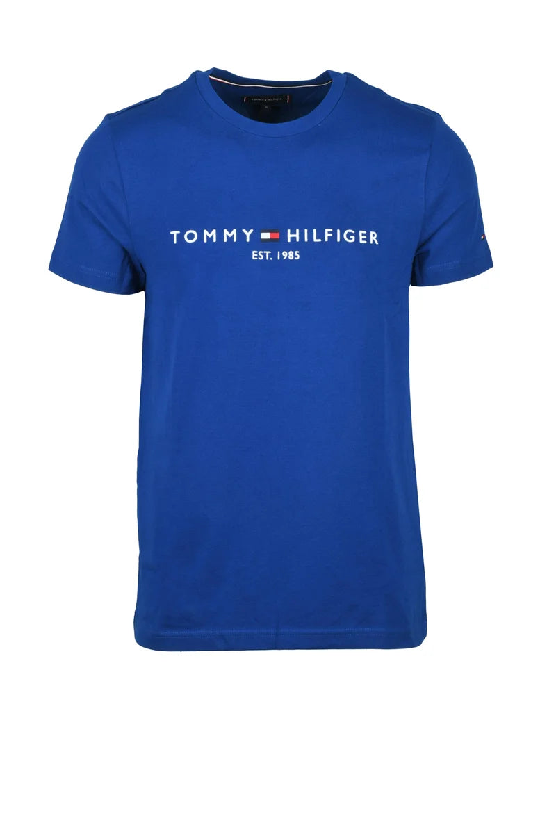 Tommy Hilfiger T-shirt Uomo - Blu