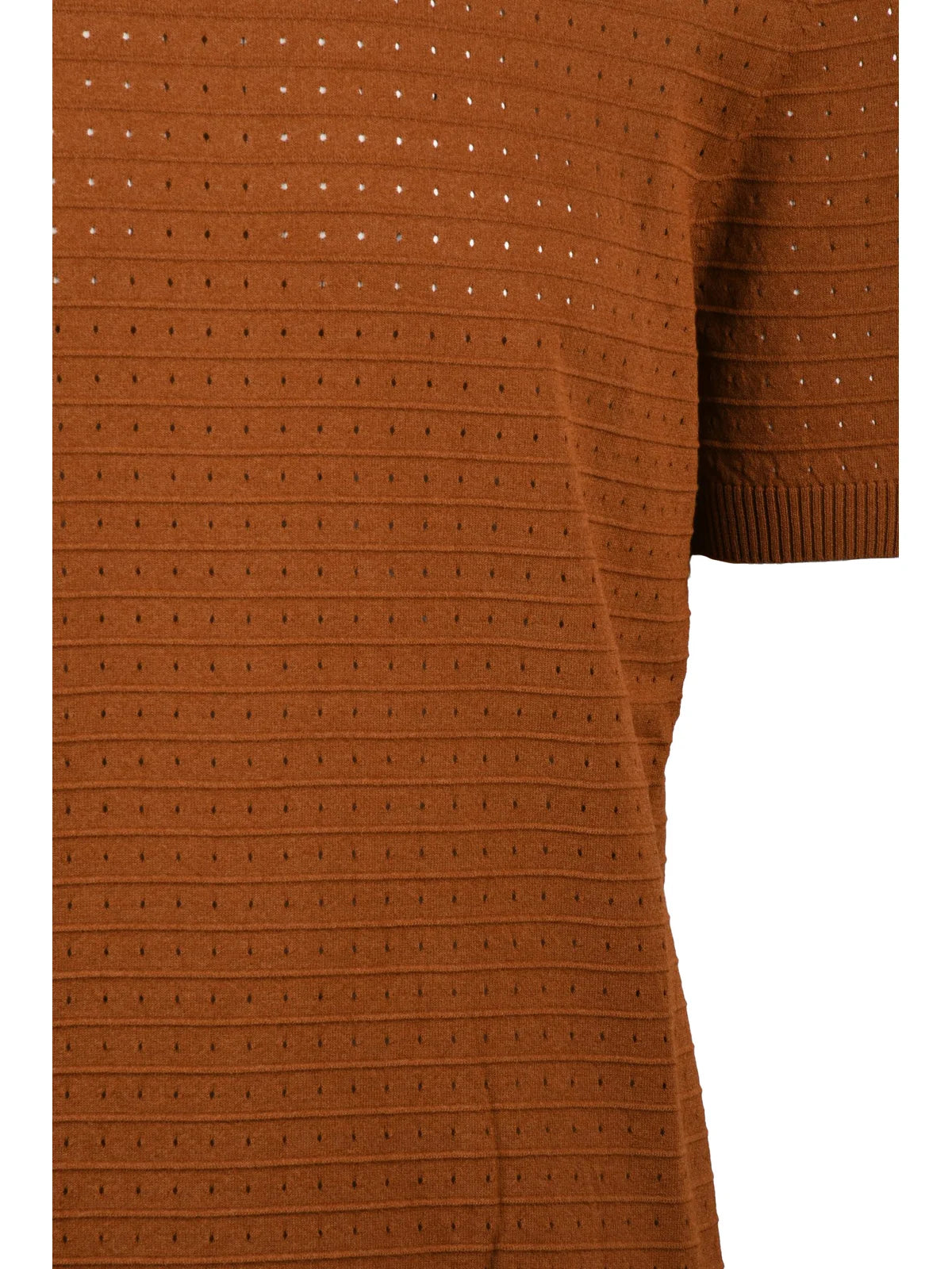 Alpha Studio Maglioncino Girocollo Cotone/Poliestere - Colorato