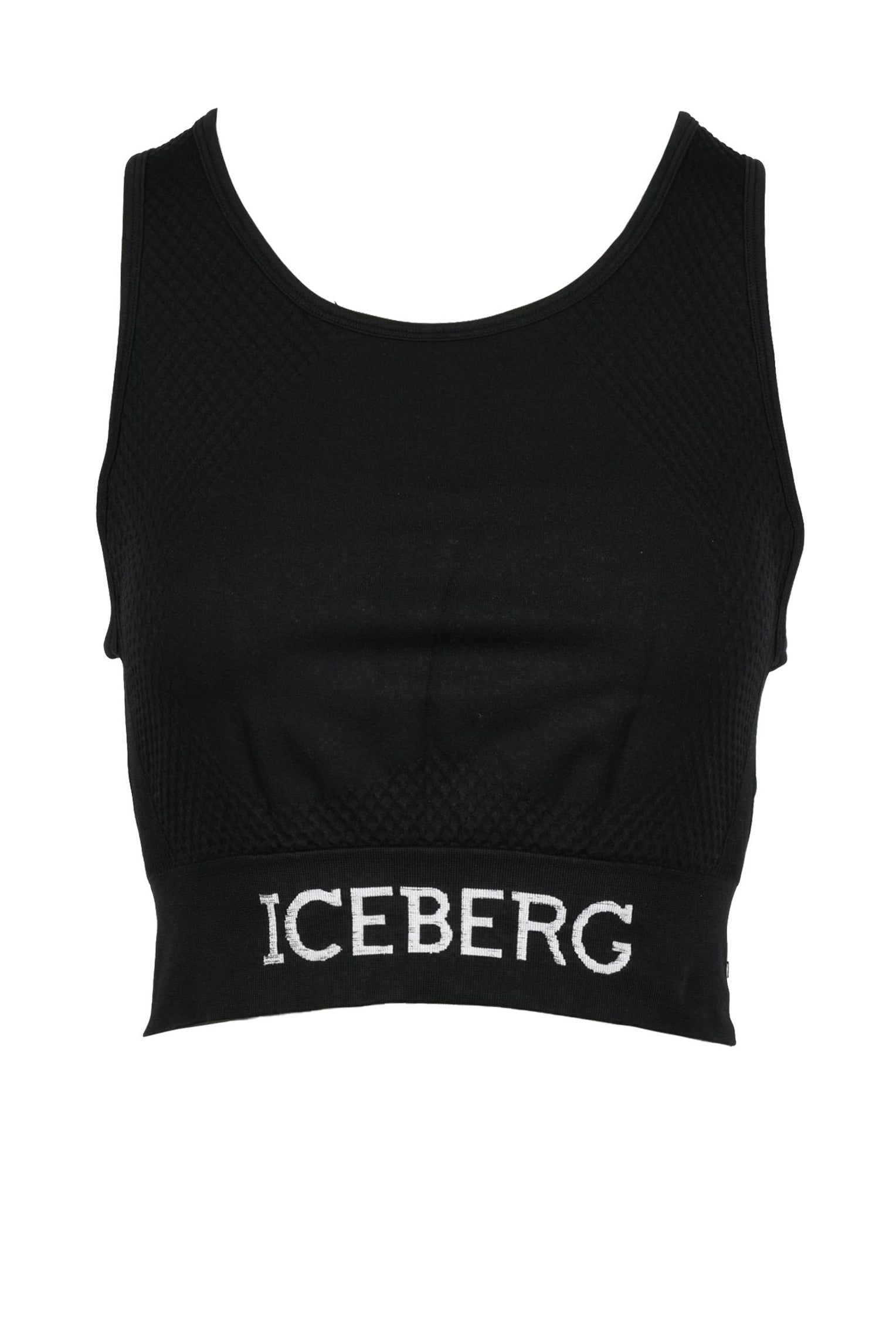 ICEBERG top