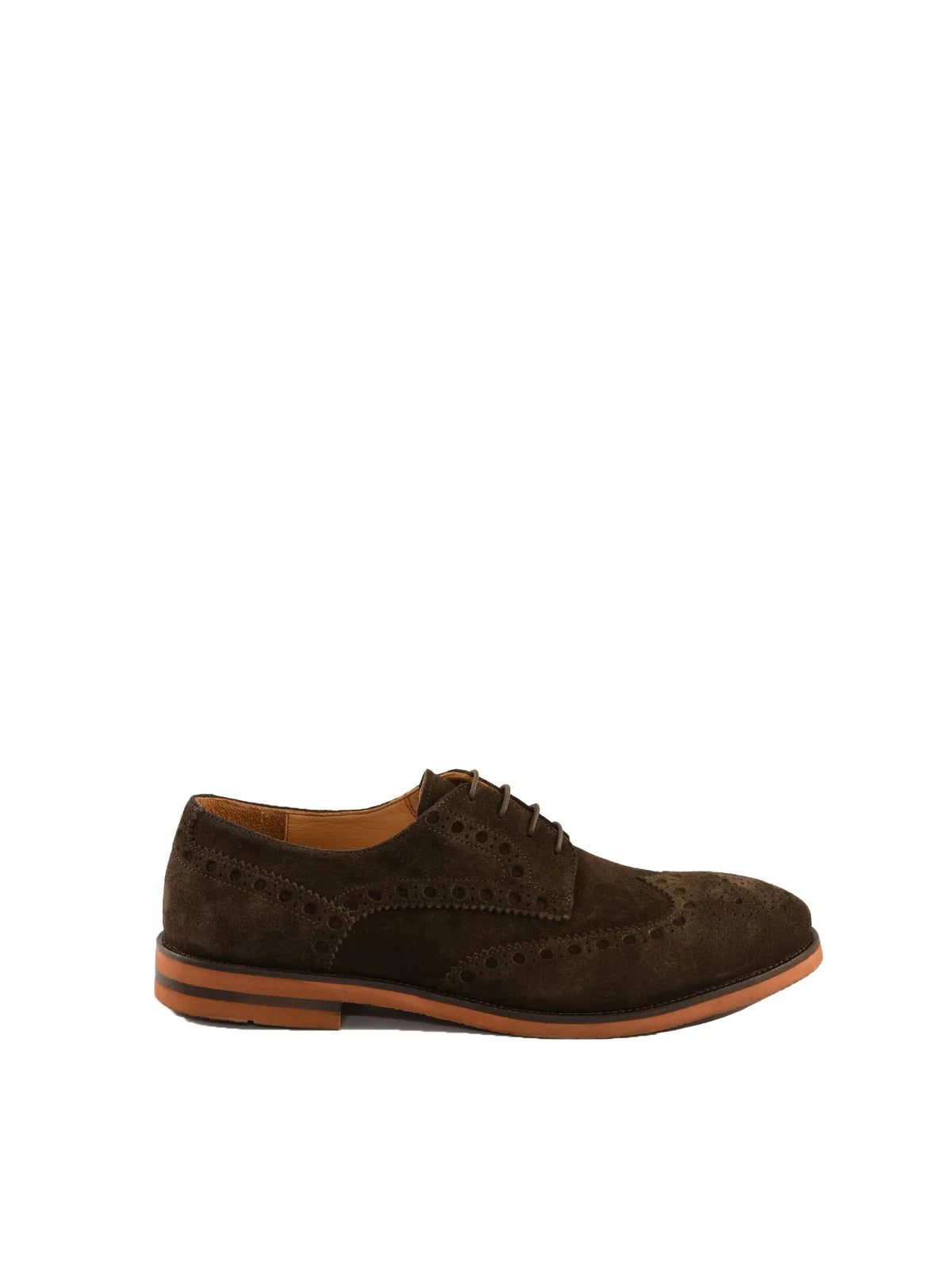 Giancarlo Desenzano Stringata Suede Gomma - Marrone