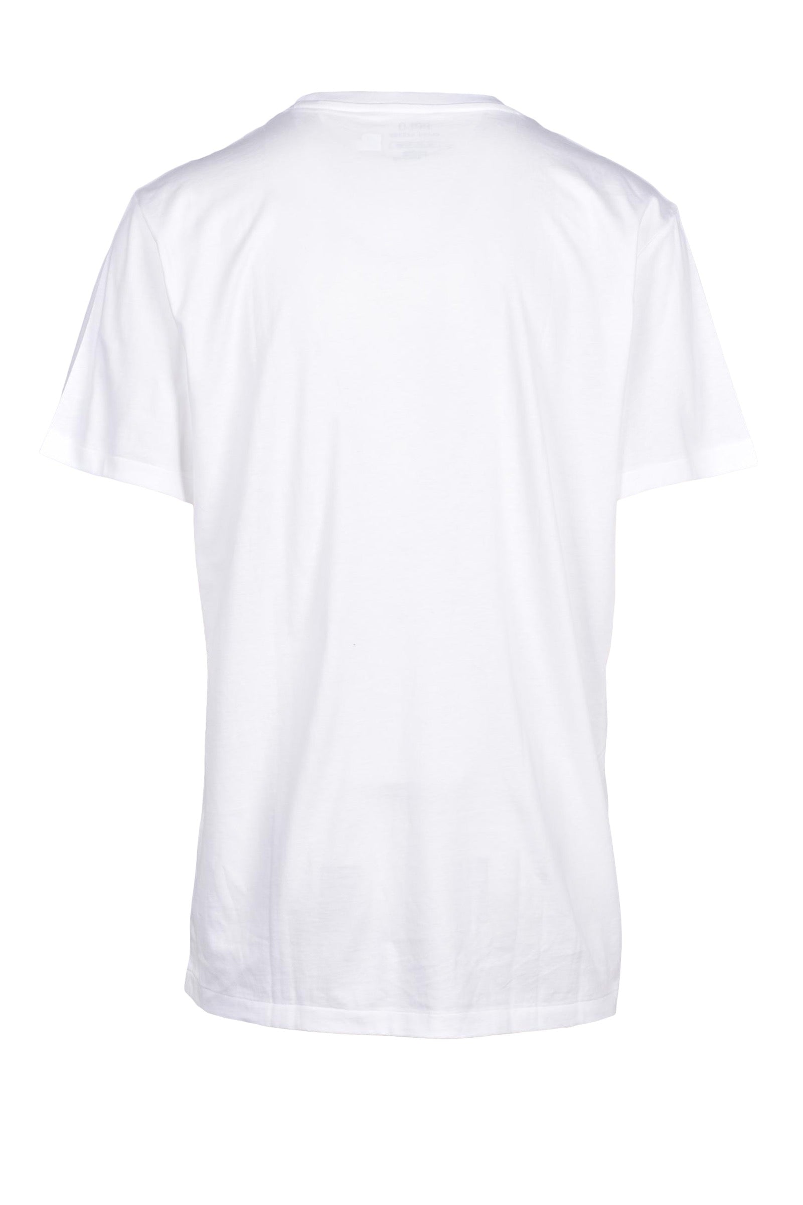 POLO RALPH LAUREN tshirt