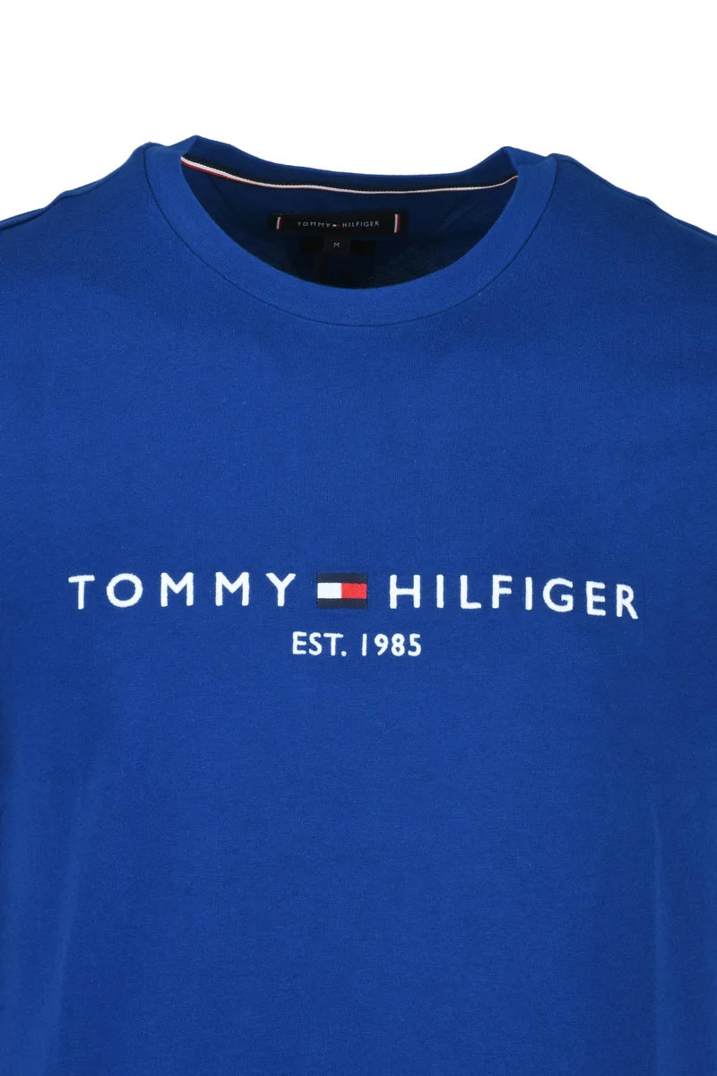 Tommy Hilfiger T-shirt Uomo - Blu