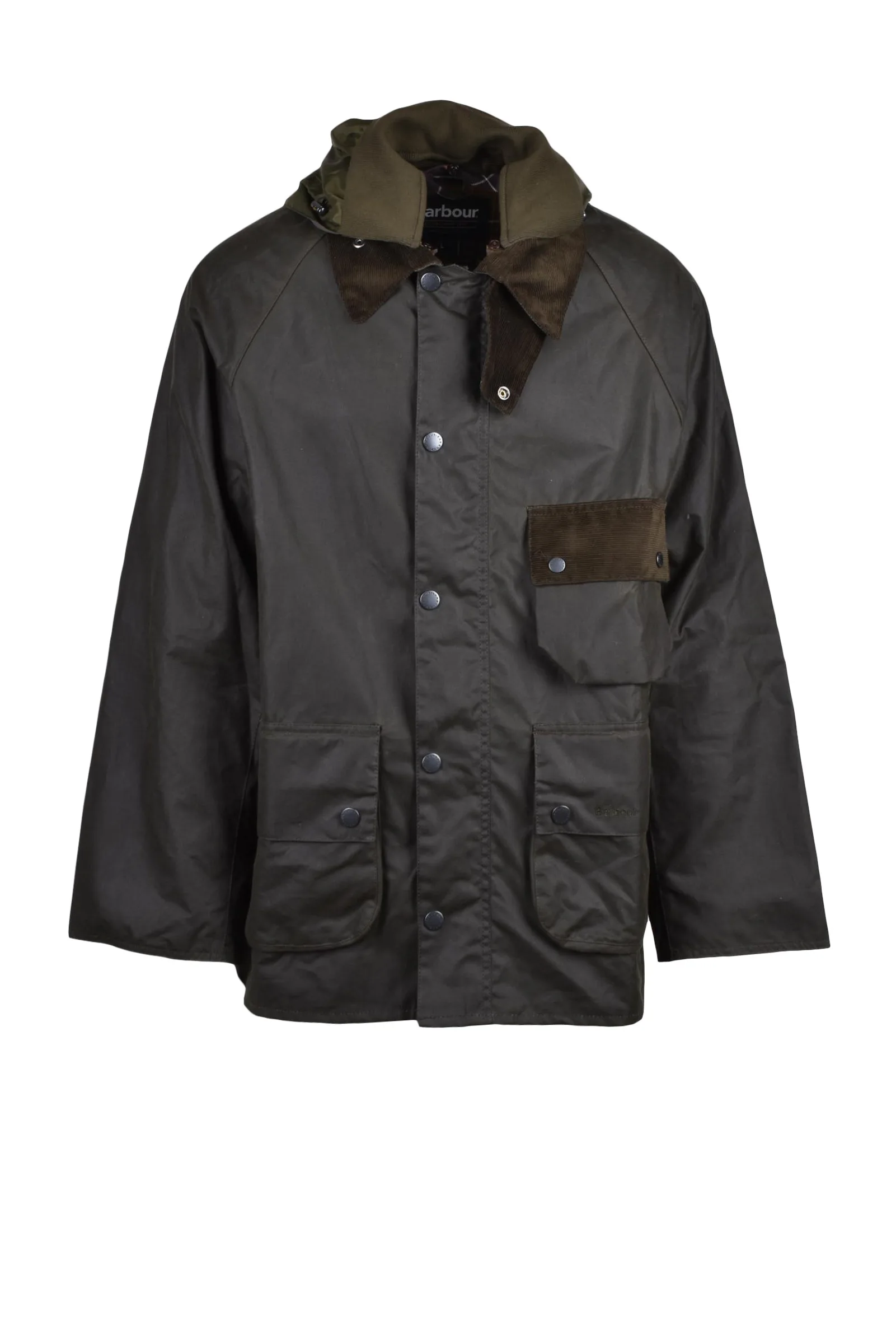 Coat Verde