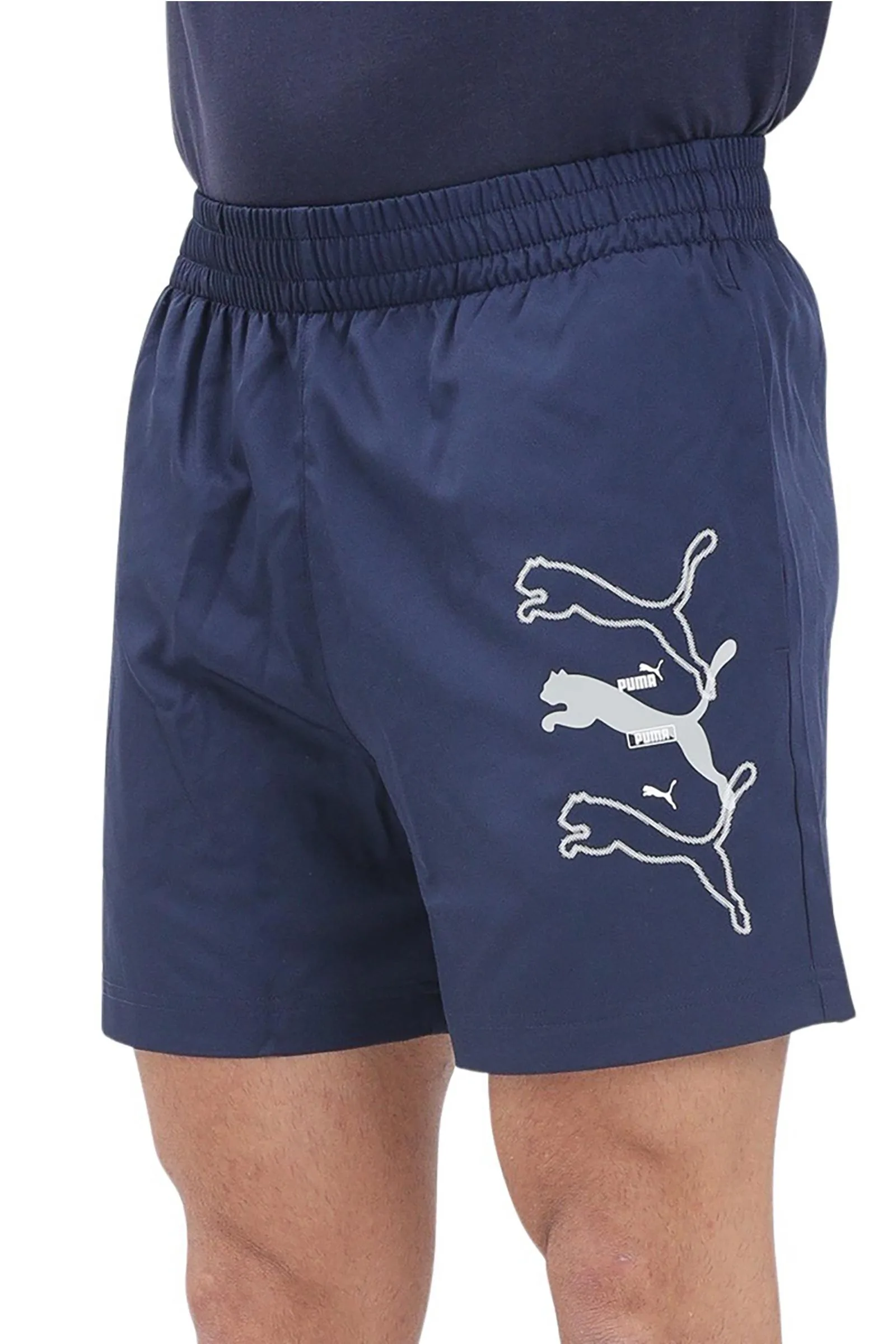 Boxer Mare Blu